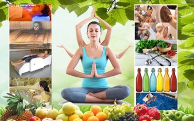 Dr. Himani Sharma – Diploma In Naturopathy – Foundation Course