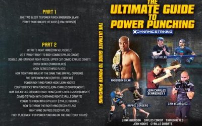 Dynamic Striking – The Ultimate Guide To Power Punching