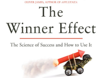 Ian Robertson – The Winner Effect How Power Affects Your Brain Unabridged AUDIObook