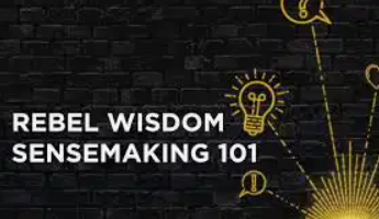 Rebel Wisdom – Sensemaking 101