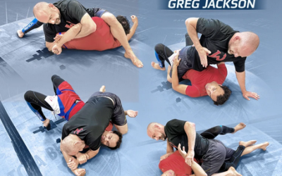 Greg Jackson – The Art & Science Of The Ground And Pound Part 3: Anchoring Positions