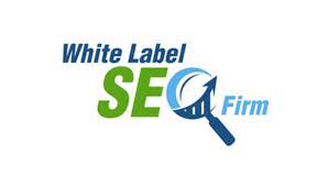 Matt Boley – White Label SEO Firm