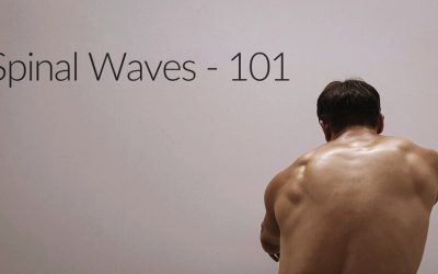 Jon Yuen – Spinal Waves 101