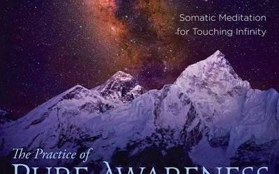 Reginald A. Ray – The Practice of Pure Awareness