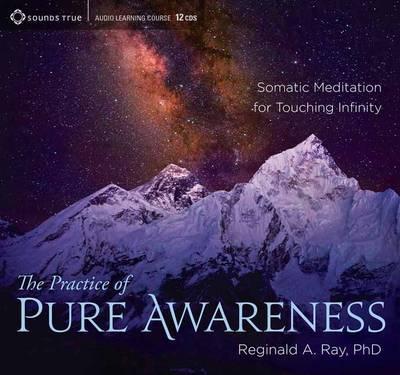 Reginald A. Ray – The Practice of Pure Awareness