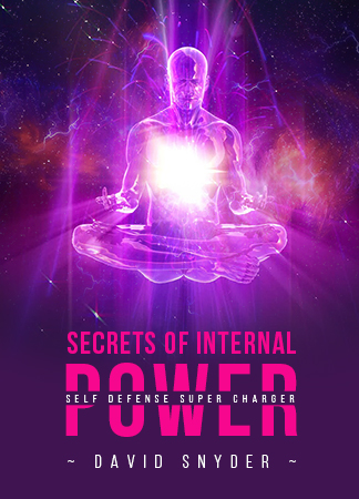David Snyder – Secrets of Internal Power – Self Defense Supercharge & Self Defense Energetic Bootcamp 2021