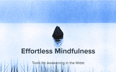 Loch Kelly – Effortless Mindfulness