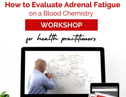 Bryan Walsh - Metabolic Fitness - How To Evaluate Adrenal Fatigue on a Blood Chemistry