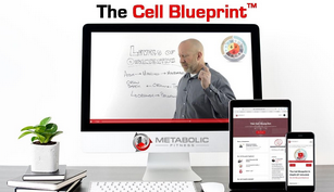 Bryan Walsh - Metabolic Fitness - The Cell Blueprint