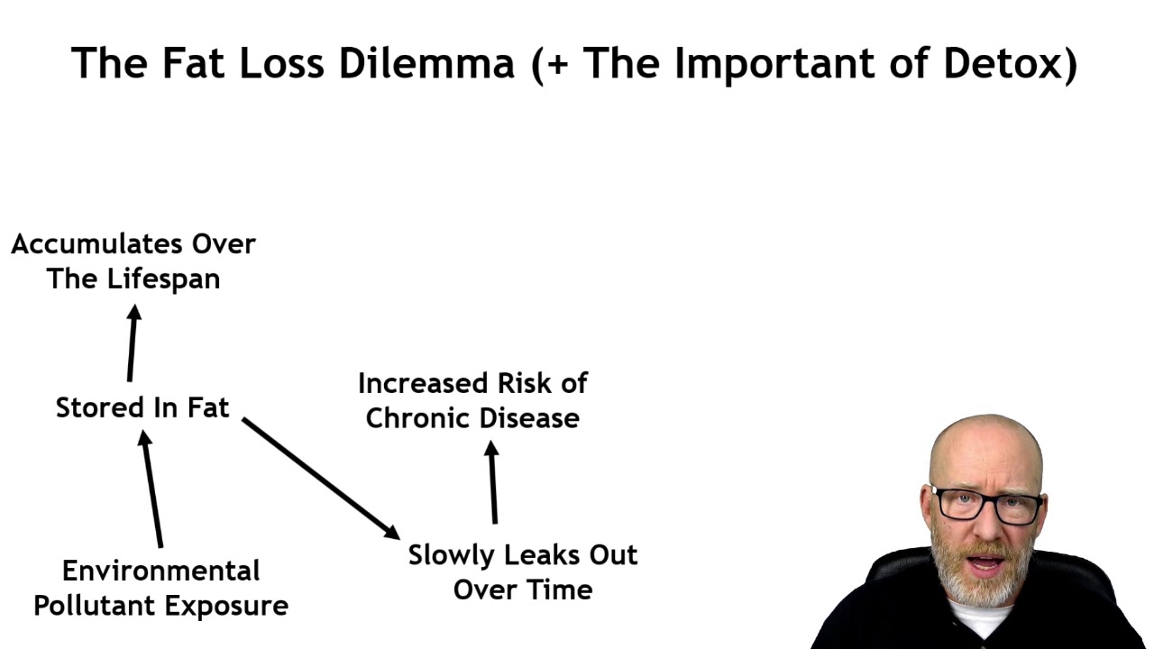 Bryan Walsh - Metabolic Fitness - The Fat Loss Dilemma + Importance of Detox