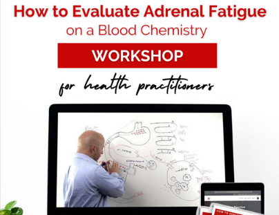 Dr. Bryan Walsh - How To Evaluate Adrenal Fatigue on a Blood Chemistry Workshop