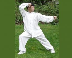 Ma Hong – Chen Style Tai Chi The Secret of Jin Release (2009)