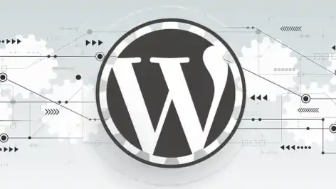 MindMekka – Build Your Own Website with WordPress: A Step-by-Step Guide