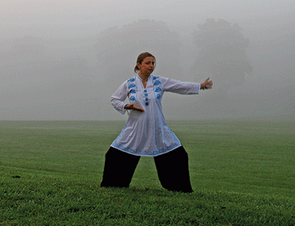 Robert Peng - Guardian Qigong