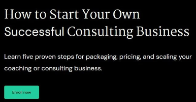 Terry Rice –  How to Start Your Own Successful Consulting Business