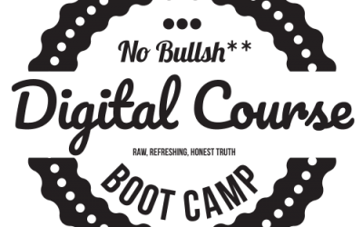 Dave Kaminski – The No Bullshit Digital Course Boot Camp
