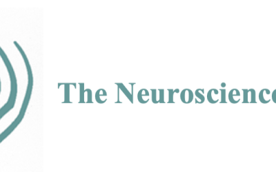 The Neuroscience School – Work with Your Brain, Not against Your Brain Part 1