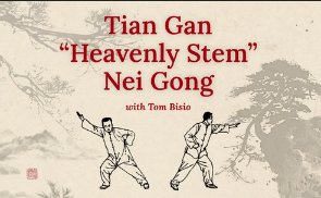 Tom Bisio – Tian Gan Nei Gong Online Learning Program