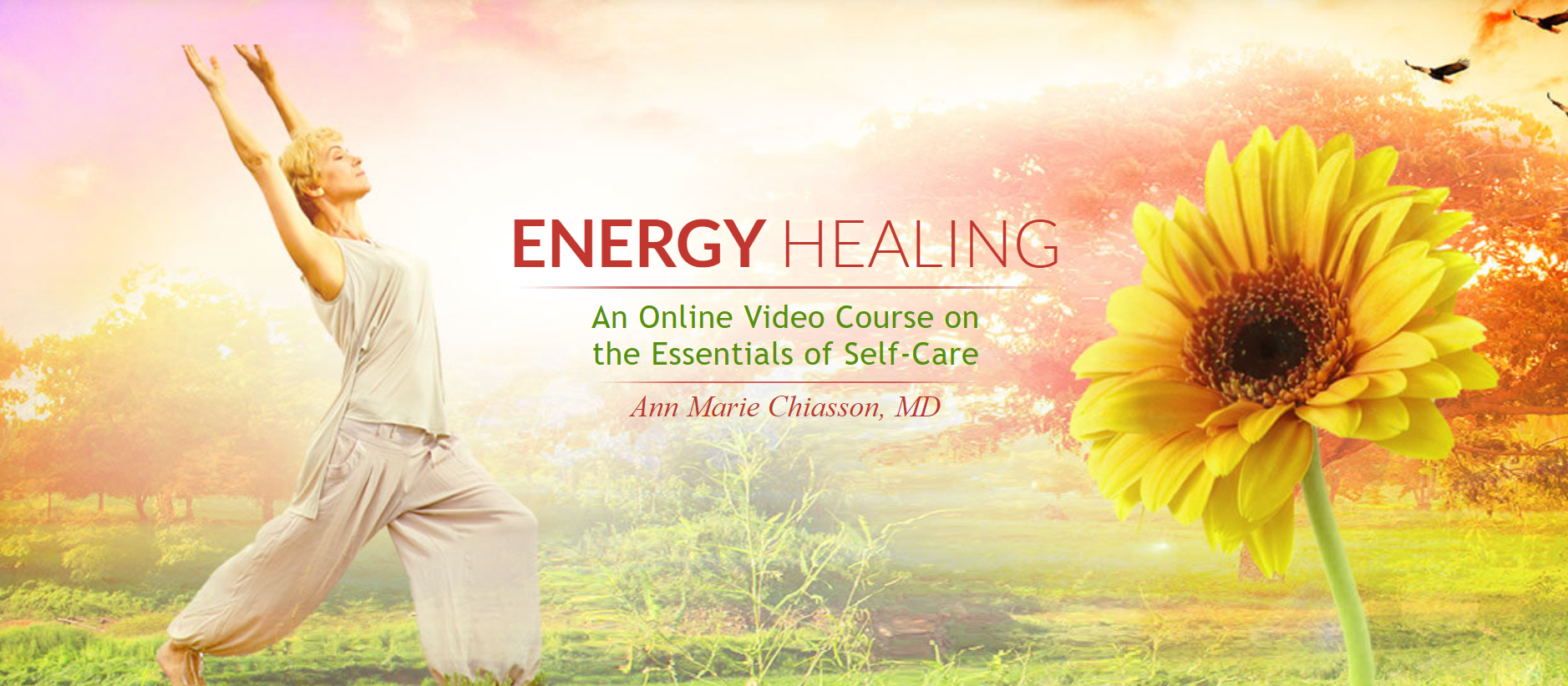 Ann Marie Chiasson – Energy Healing