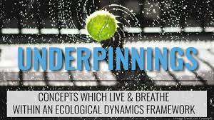 Emergence – UNDERPINNINGS CONCEPTS WHICH LIVE & BREATHE WITHIN AN ECOLOGICAL DYNAMICS FRAMEWORK