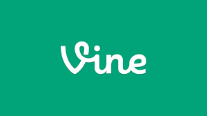 VINE: DIY Branding Course