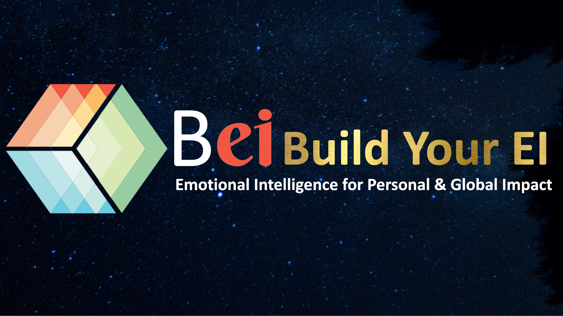 Course Bundle – Building and Leading with EI