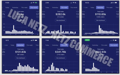 Luca Netz – Advanced Dropshipping