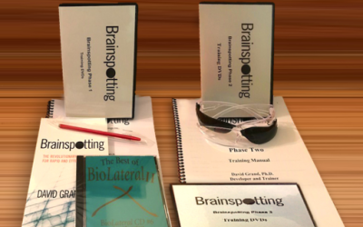 Brainspotting Phase 1, 2 and 3 DVDs