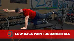 Dr. Michael Mash – Low Back Pain Fundamentals