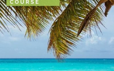 John Longford – Freelance Travel Writing Course