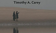 Timothy A. Carey – Hold That Thought! Two Steps to Effective Counseling and Psychotherapy With the Method of Levels