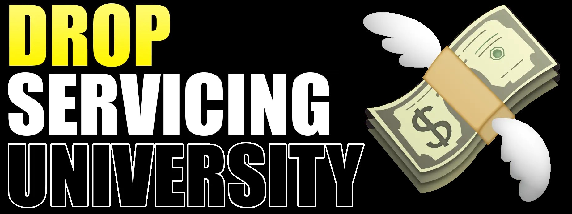 Jay Froneman – Drop Servicing University: How I Make $50,000 Profit Per Month Reselling Rare, High Income Skills