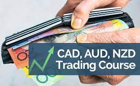 Bkforex – CAD, AUD, NZD Trading Course