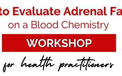 Dr. Bryan Walsh – How To Evaluate Adrenal Fatigue on a Blood Chemistry Workshop