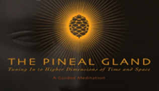 Dr. Joe Dispenza – The Pineal Gland – Tuning in to Higher Dimensions