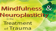 Janina Fisher – Mindfulness and Neuroplasticity in the Treatment of Trauma