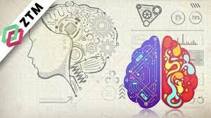 Learning to Learn [Efficient Learning] Zero to Mastery
