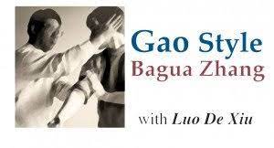 Luo De Xiu – Gao Ba Gua Clever Hands – Subtle Skills