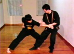 Tiger Claw Kung Fu Series (Vol.1 to 7) – Master Tak Wah Eng