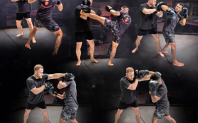 Erik Nicksick – Cage Control for MMA