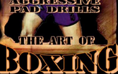 Jim McCann – Art of Boxing