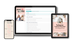 Laura Bitoiu – Post Like a Pro