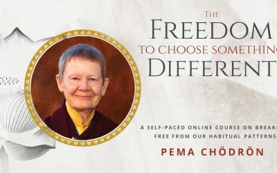 Pema Chödrön – Udemy – The Freedom to Choose Something Different