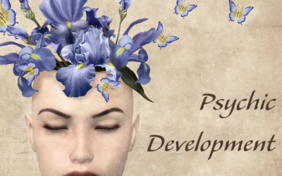 Tosha Silver – Psychic Development Series