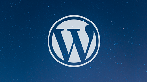 Chris Dixon – WordPress Academy Learn WordPress step by step