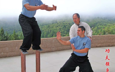 Dr. Yang, Jwing-Ming – Kung Fu Body Conditioning 1