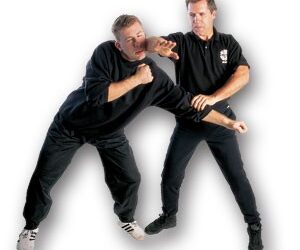 Jerry Beasley – Jeet Kune Do – Scientific Street Fighting Vol 1-5