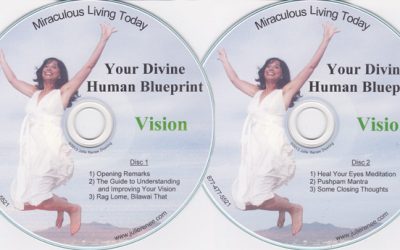 Julie Renee – Your Divine Human Blueprint: Vision