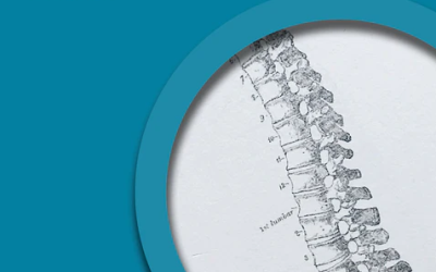 CHEK Institute – Spinal Structures & Function