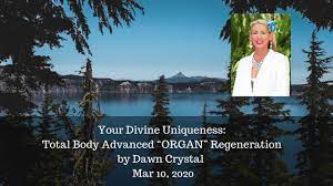 Dawn Crystal – Total Body Advanced Organ Regeneration